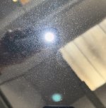 IMG_3727.jpeg IMG_3727.jpeg