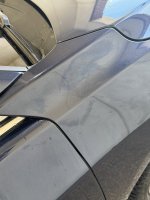 IMG_1336.jpeg