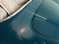 IMG_7271.jpeg