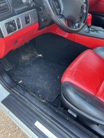 IMG_1641.jpeg