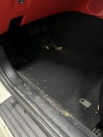 IMG_1670.jpeg