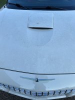IMG_1635.jpeg