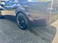 IMG_3494.jpeg
