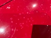 IMG_9603.jpeg