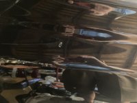 IMG_4672.jpeg