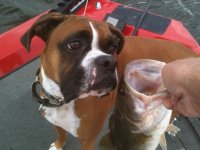 IMG_0052.jpeg