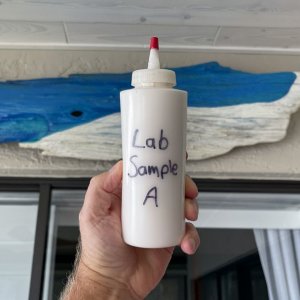 Lab_Sample_A.001.JPG