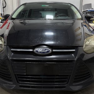2013-Focus-Rock-Chips001.jpg