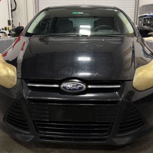 Media '2013-Focus-Rock-Chips004.jpg' in album 'Forum Members Pics'