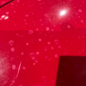 Water-Spots-in-Antique-Single-Stage-Paint.jpeg