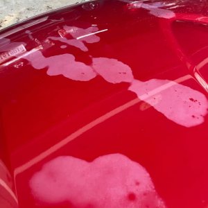 Type-8-car-cover-water-spots-800x800.jpg