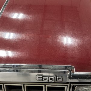 1982Eagle004.JPG