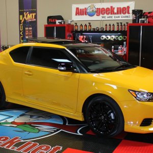 YellowScion15.jpg