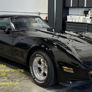 1981CorvetteSanding001.jpg