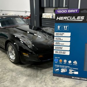 1981CorvetteSanding019.jpg