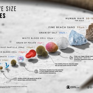 RelativeSizeofParticles-Infographic-1200px_v8.jpg