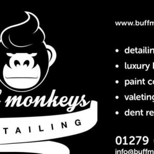 Buff_Monkey_Detailing_002.jpg
