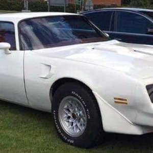 London-Class-1977-Pontiac-Firebird-Trans-Am.jpg