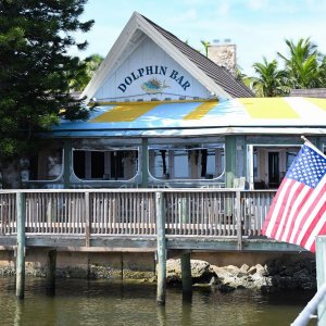 Dolphin-Bar002.jpg