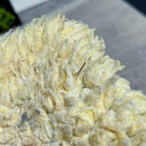 Gold-Fleece-Wash-Mitt002.jpg