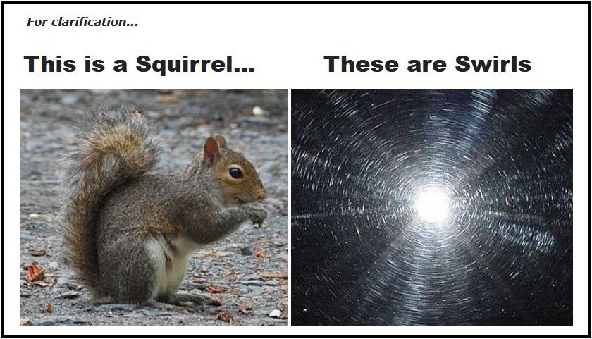 SquirrelsandSwirls.jpg