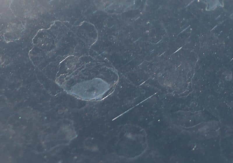 Type-6-Alkaline-Rain-Spots001.jpg